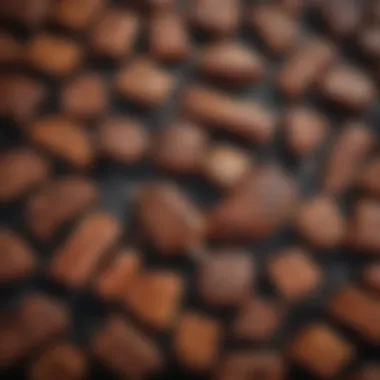 Diverse types of BBQ grills laid out