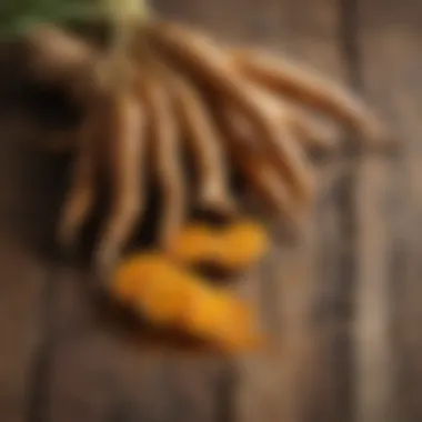 Fresh turmeric roots on a wooden surface