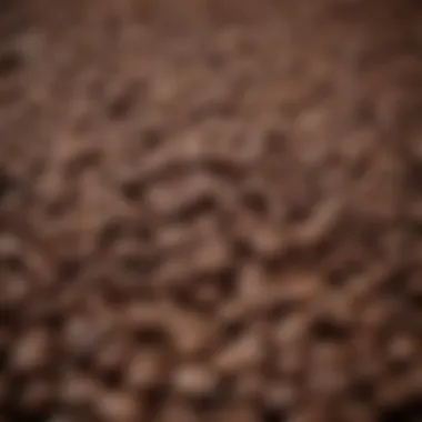 Coffee Beans from Different Regions A close-up view of coffee beans from different regions