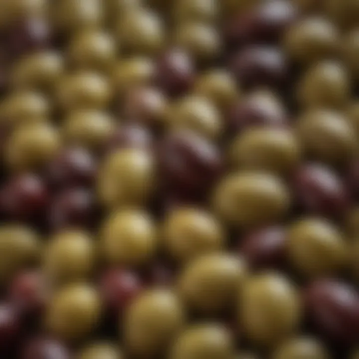 A close-up of fresh olives ready for pressing