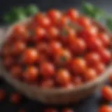 Vibrant grape tomatoes in a basket showcasing their fresh appeal