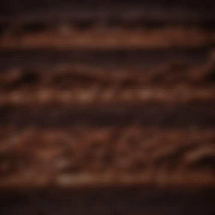 Close-up of chocolate cake layers showcasing texture.