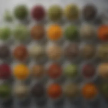 A serene display of herbal teas with fresh ingredients and herbs