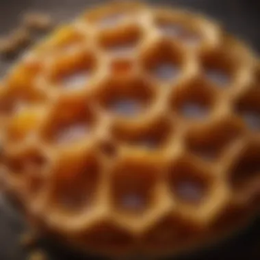 Intricate Details of Honeycomb Close-up of honeycomb illustrating its golden hue and intricate patterns