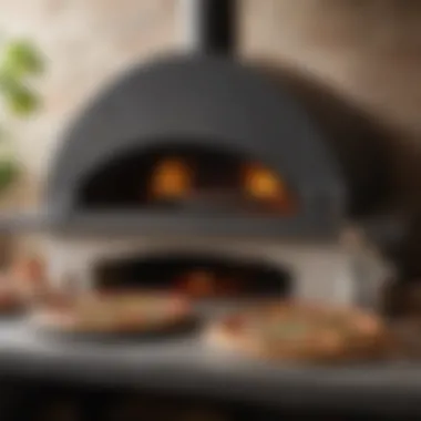 Maintenance tools and tips beside the mimiuo pizza oven for optimal performance