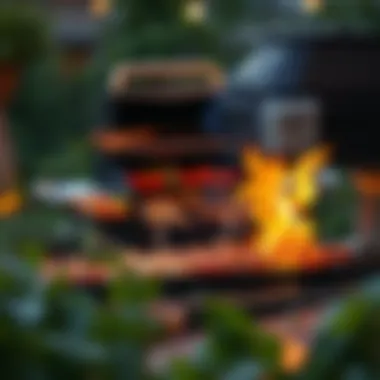 Exploring the Nexgrill Natural Gas Grill: Features, Benefits, and Comparisons Summary