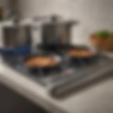 A close-up of a plug-in countertop stove showcasing its sleek design and controls