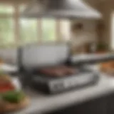 Overview of the QVC Blackstone Grill showcasing its spacious cooking surface