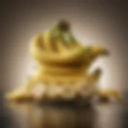 Nutritional breakdown of bananas