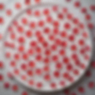 Artistic Presentation of Rose Petals A close-up view of vibrant rose petals arranged artistically on a plate