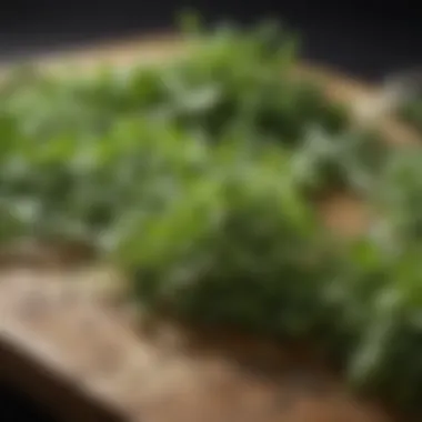 A close-up shot of herbs being dehydrated