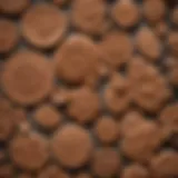 Artisan-crafted clay cookie molds showcasing intricate designs