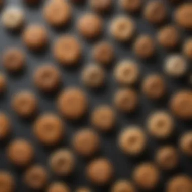 A variety of baked goods displayed on different silicone mats, illustrating versatility