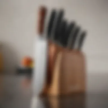 An elegant knife block with various knife styles arranged neatly