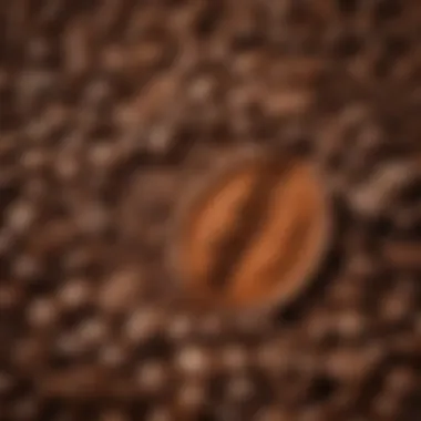 Close-up of freshly ground coffee beans ready for brewing