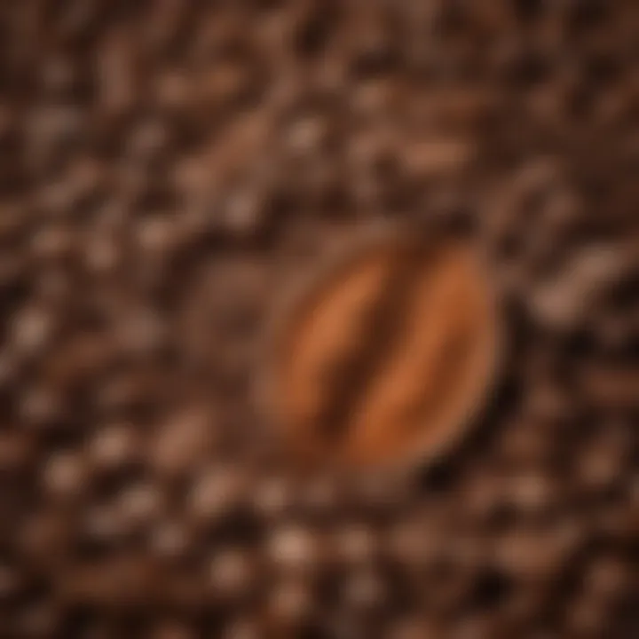 Close-up of freshly ground coffee beans ready for brewing