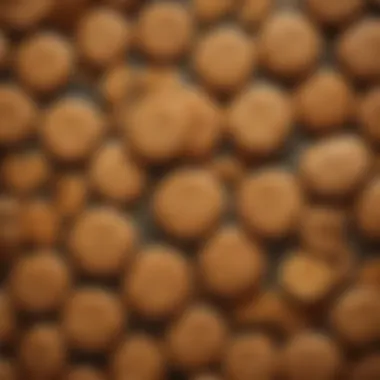 Diverse Variations of Ginger Nuts A selection of ginger nuts biscuit variations, highlighting unique shapes and flavors