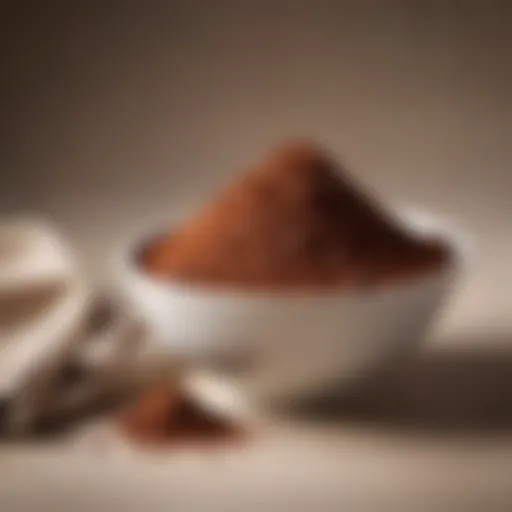 Elegant presentation of Hollander chocolate powder in a fine bowl