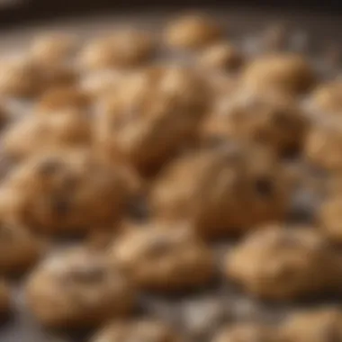 Crushed Cookies for Ice Cream Mixture Close-up of crushed cookies ready to be added to ice cream mixture