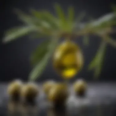 Fresh Olives and Olive Oil Close-up of an olive branch with fresh olives and oil droplets