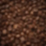 A close-up view of freshly roasted coffee beans showcasing their rich texture and colors.