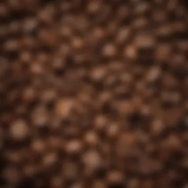 A close-up view of freshly roasted coffee beans showcasing their rich texture and colors.