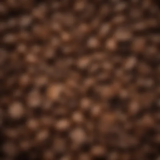 A close-up view of freshly roasted coffee beans showcasing their rich texture and colors.