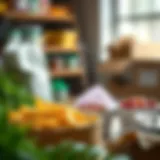 Innovative Donation Ideas for Food Pantries Introduction