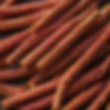 Close-up of Jolly Rancher Cinnamon Fire Stix emphasizing texture and packaging design