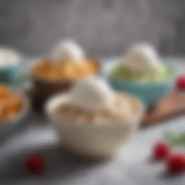 Flavorful Options Variety of keto frosty flavors in bowls