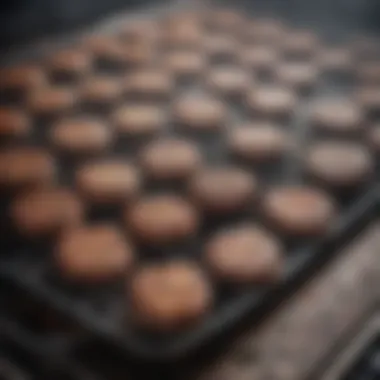 A pristine grill showcasing gleaming grates and a spotless exterior