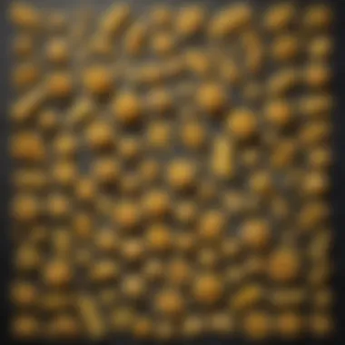 Diverse Pasta Shapes and Styles A collection of different pasta shapes