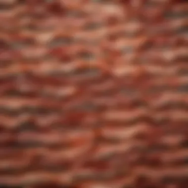 Varieties of Bacon for Baking Different bacon varieties arranged creatively