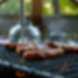 Mastering the Art of Charcoal Grilling: Techniques and Insights Introduction