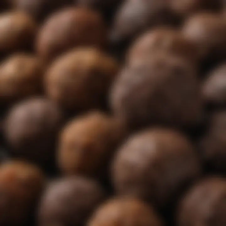 Close-up of the luxurious texture of Mathez truffles