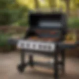 A detailed view of a gas grill showcasing its sleek design and features.