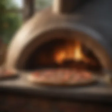 A traditional pizza oven showcasing the cooking environment.