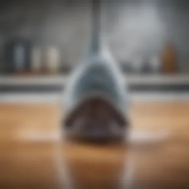 Engaging Shark vacuum advertisement showcasing innovative features