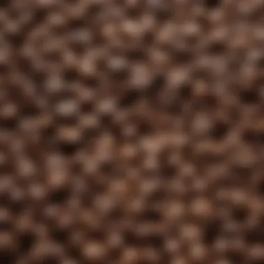 A close-up view of premium coffee beans showcasing their rich texture and color