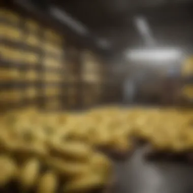 Environmental Considerations in Storage Environmental considerations in banana storage