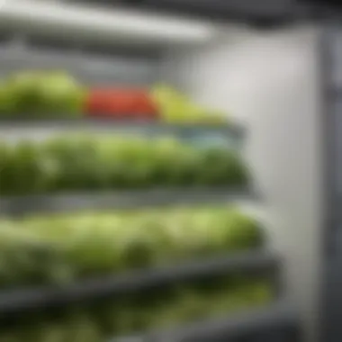 A refrigerator showcasing properly stored cut lettuce