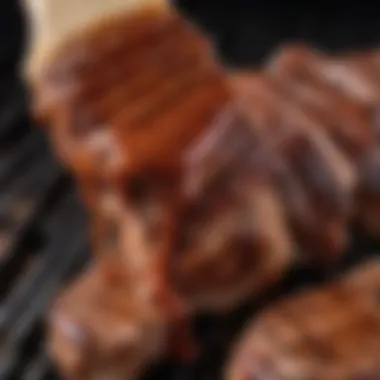 Close-up of BBQ sauce brush on grilled meat