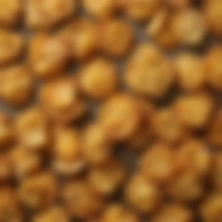 Close-up of golden-brown cheese crisps highlighting their texture