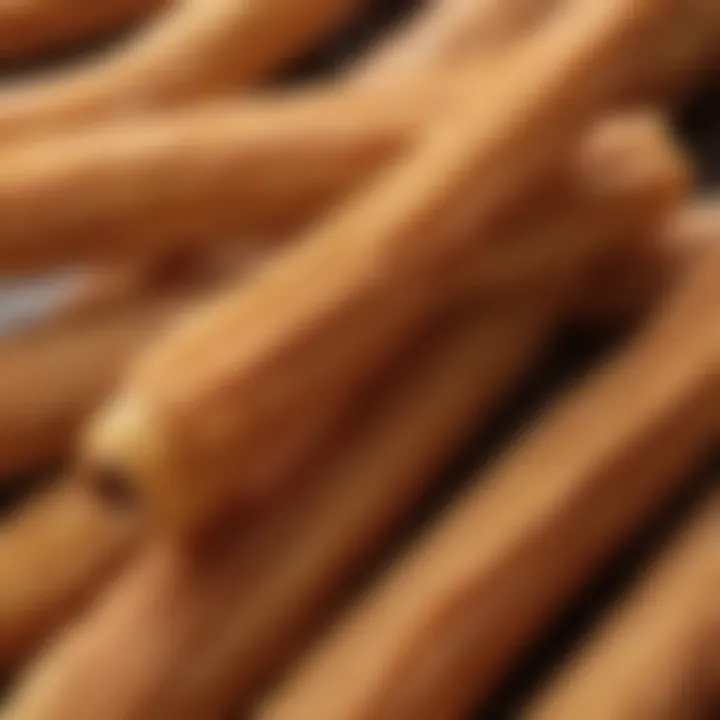 A close-up of a churro highlighting its crispy exterior and soft interior