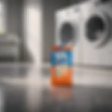 Laundry detergent sheets in a modern laundry room