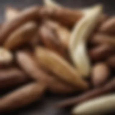 A close-up view of vanilla pods showcasing their rich texture and color