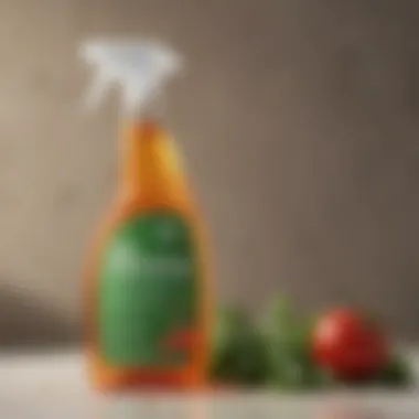 Eco-Friendly Cleaning Solutions Close-up of a spray bottle featuring eco-friendly ingredients