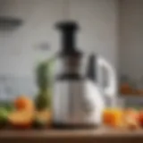The H200 Easy Clean Slow Juicer: A Comprehensive Guide Introduction