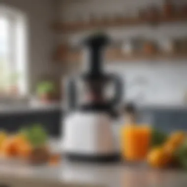 Notable The H200 Easy Clean Slow Juicer: A Comprehensive Guide Notable The H200 Easy Clean Slow Juicer: A Comprehensive Guide