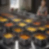 An array of in-home deep fryers showcasing varying designs and features.